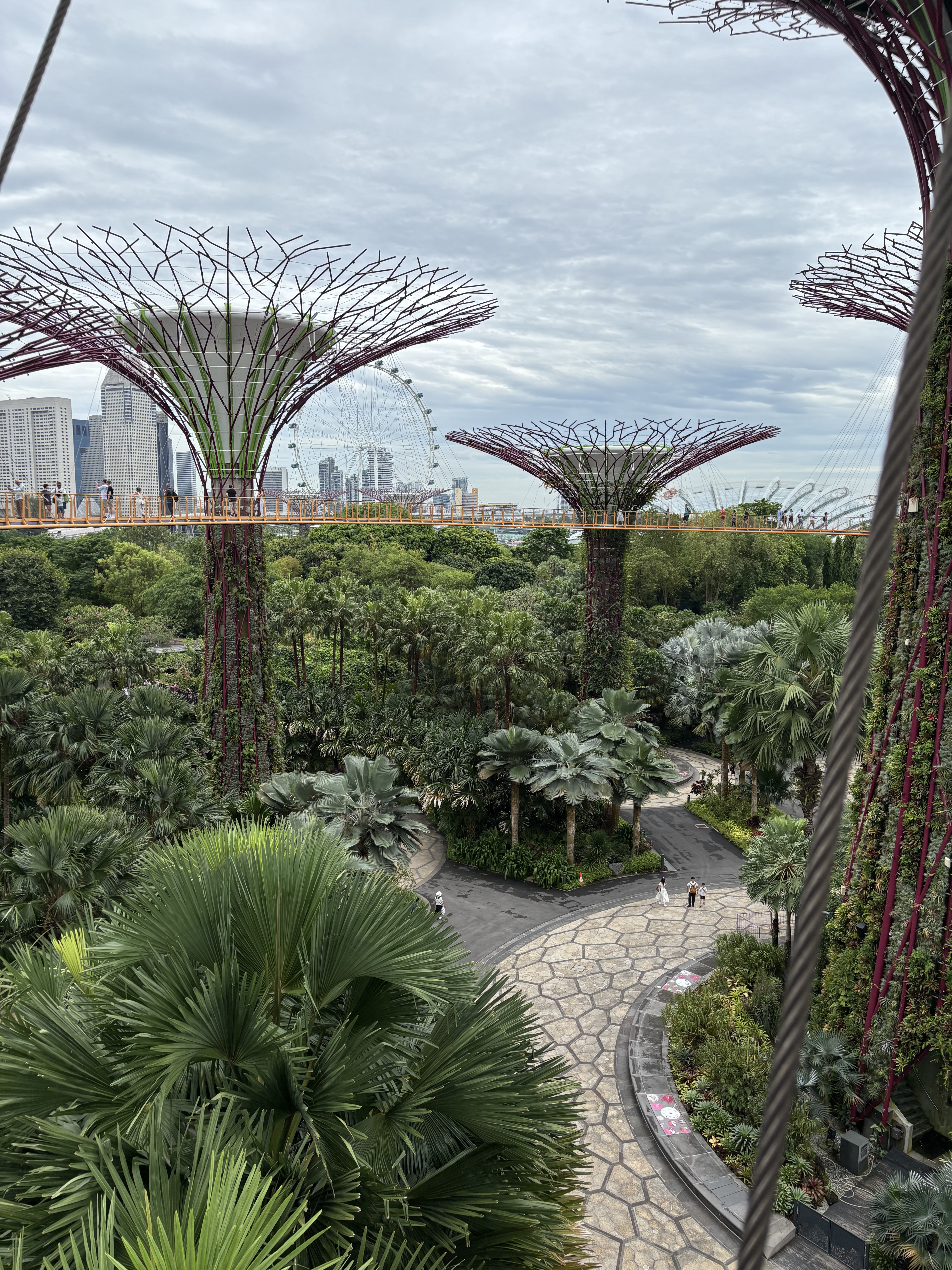 OCBC Skyway tra i Supertrees dei Gardens by the Bay, Singapore