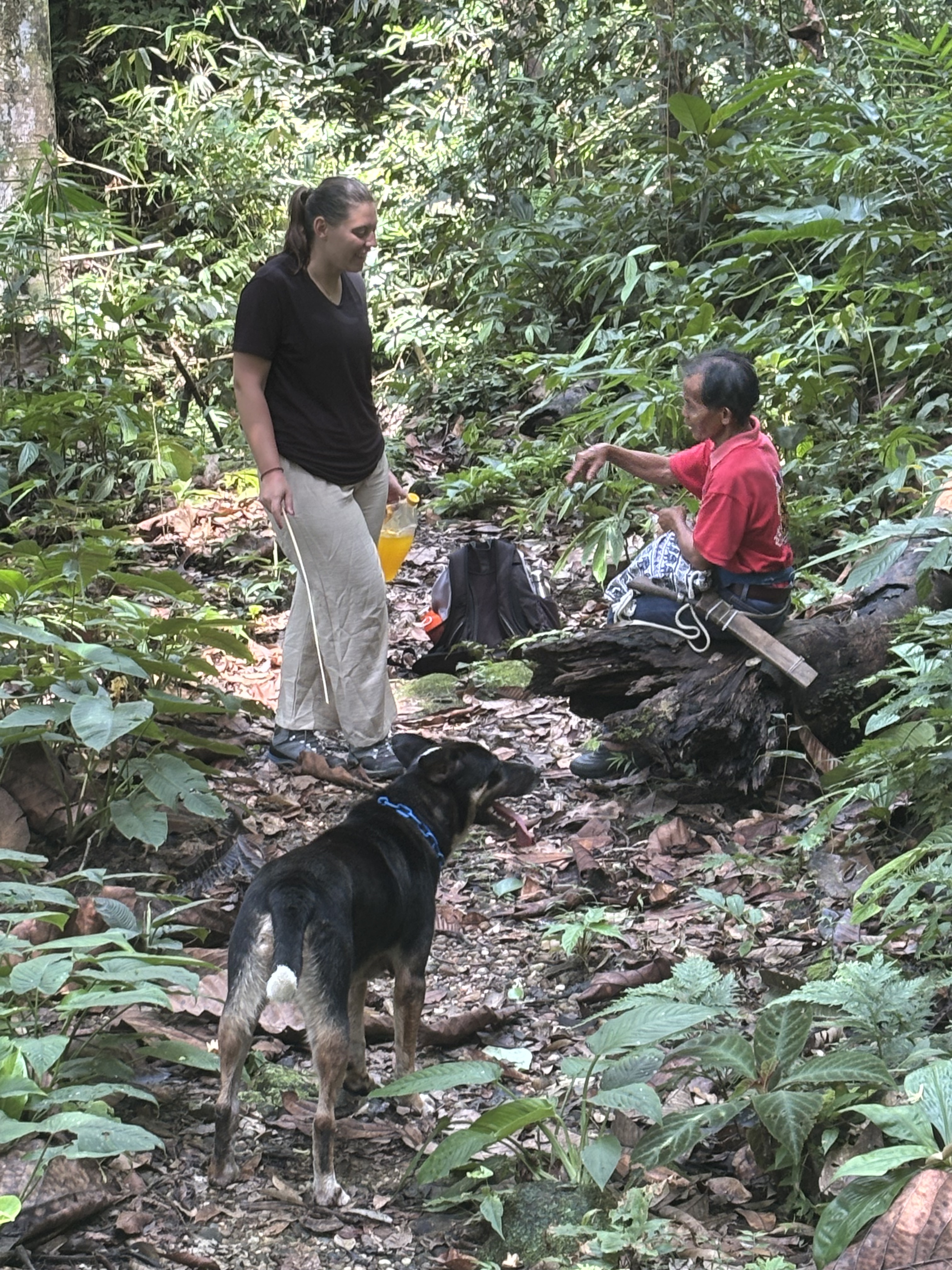 Escursione nella foresta del Sarawak con una guida locale