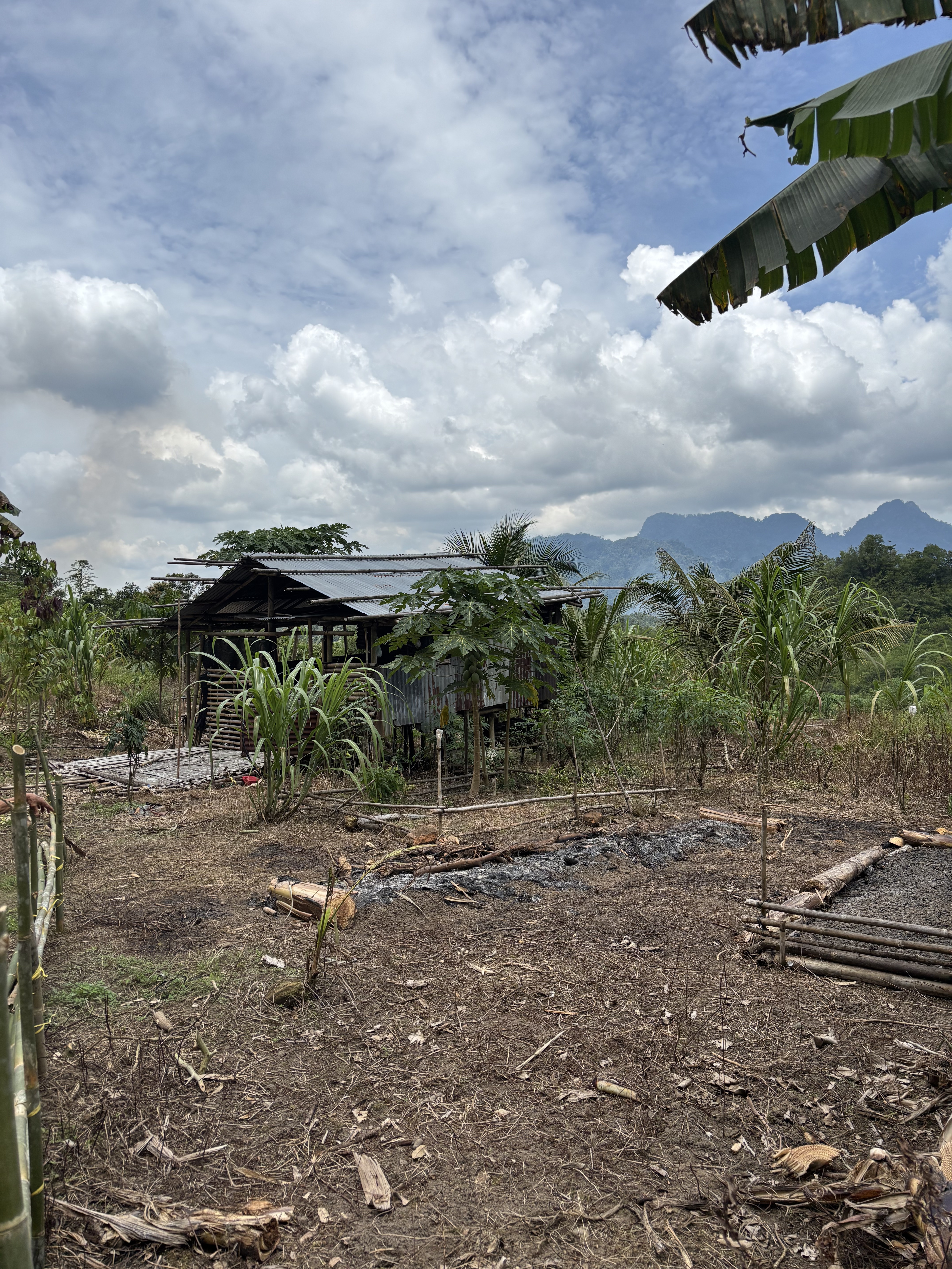 Paesaggio rurale del Sarawak con montagne tropicali sullo sfondo