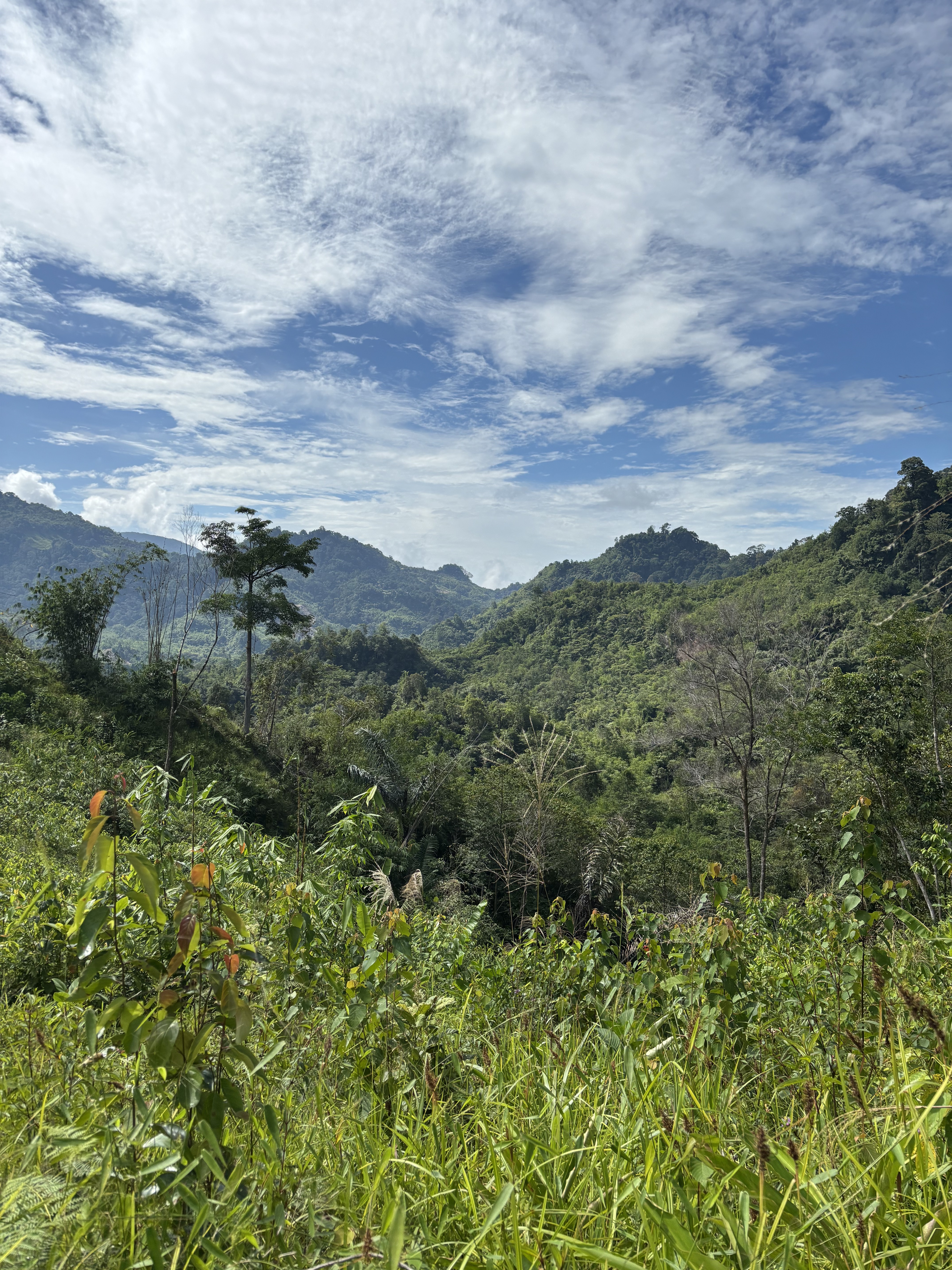 Paesaggio verde e montagne del Sarawak sotto il cielo aperto